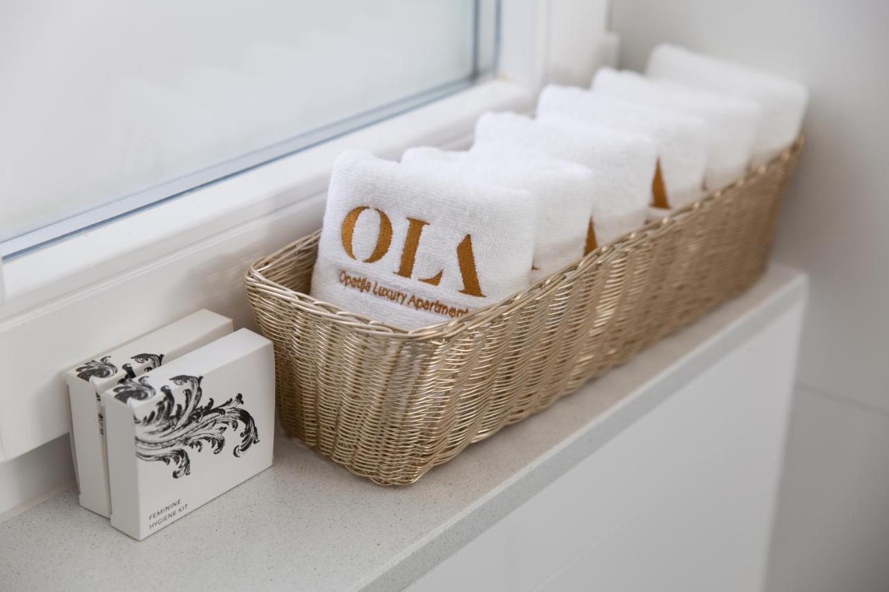 Ola Luxury Apartment *